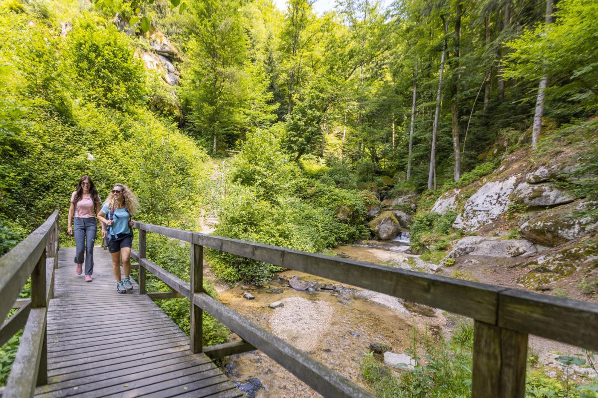 Saming Am Wildbach Bei Passau 아파트 외부 사진
