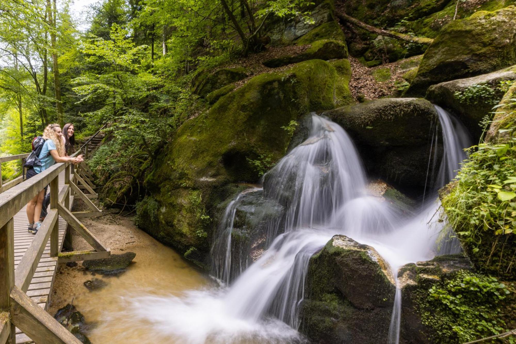 Saming Am Wildbach Bei Passau 아파트 외부 사진