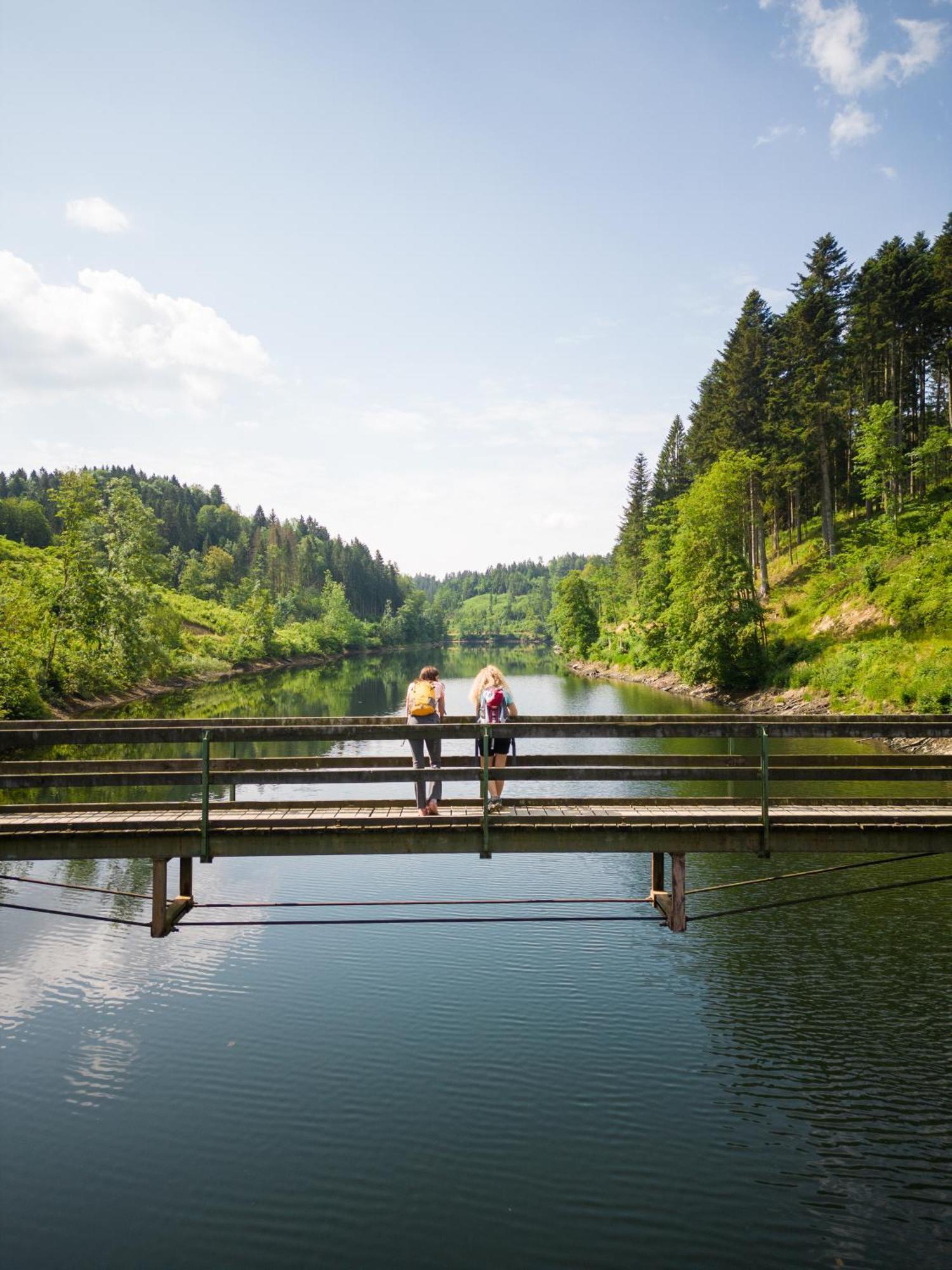 Saming Am Wildbach Bei Passau 아파트 외부 사진