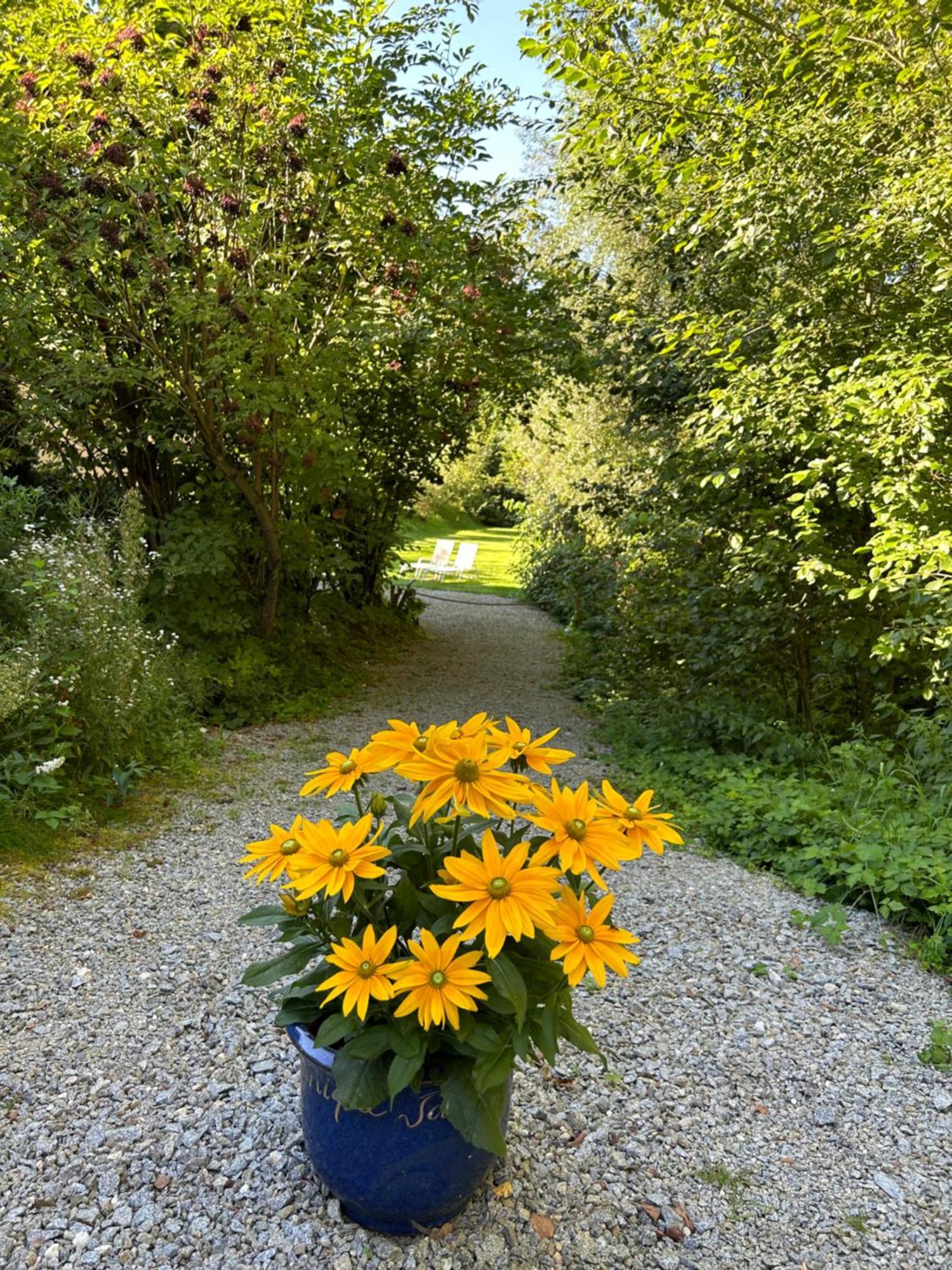 Saming Am Wildbach Bei Passau 아파트 외부 사진